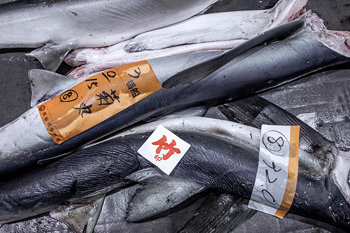 フカヒレの歴史