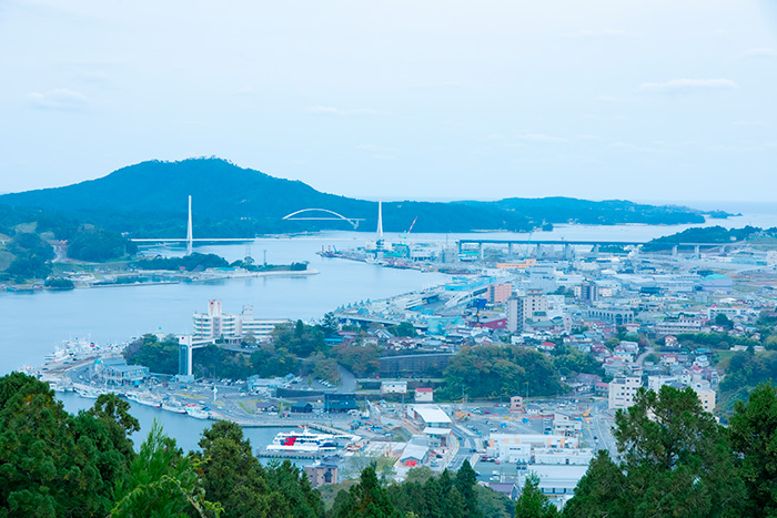 フカヒレと気仙沼の関係