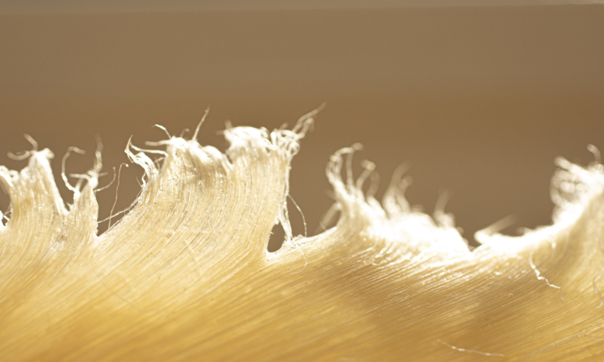 フカヒレへのこだわり