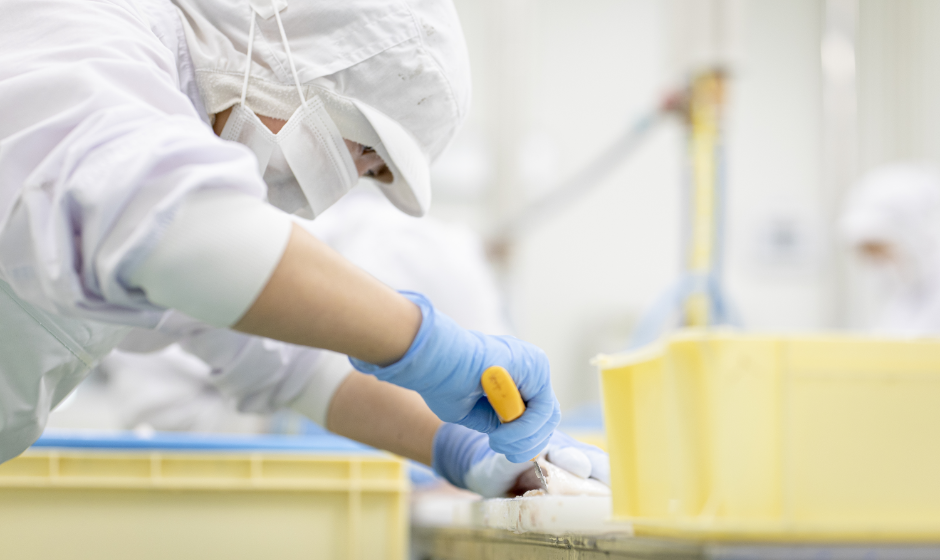 フカヒレの加工技術へのこだわり