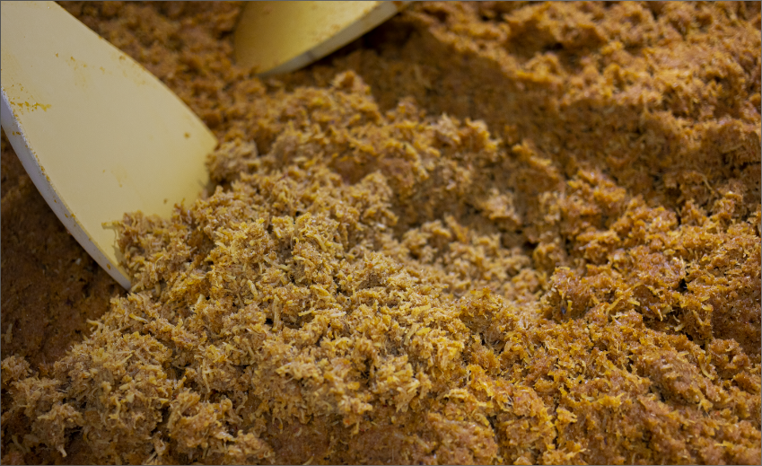 安全・安心へのこだわり