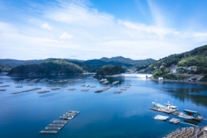 環境・海洋資源についての取り組み